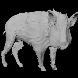 Фото 3D моделирования кабана