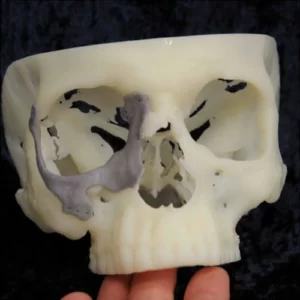 Фото 3D моделирования черепа