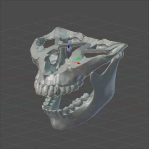 Фото 3D моделирования челюстей