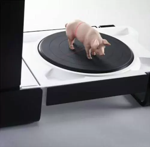 3D сканирование фигурки свиньи
