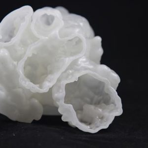 Фото модели сердца 3