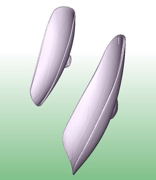 Фото 3D-сканирование накладных ногтей 2