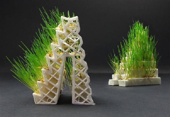 Фото 3D печать для растений в домашнем саду 5